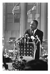 MLK at Soldier Field by Ted Williams