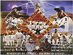Negro League Baseball by Edward Clay Wright