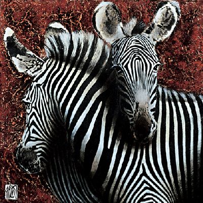 Couple de Zebras II