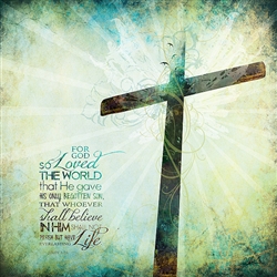 For God so Loved the World by Sally Barlow