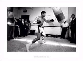 Muhammad Ali: In the Gym