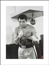 Muhammad Ali: Pose